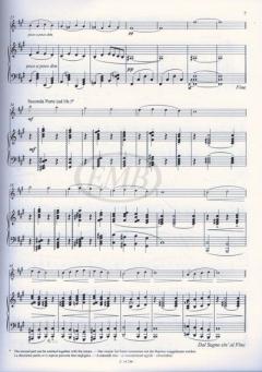 Twelve Easy Little Pieces for Flute with Piano Accompaniment von Istvan Szelenyi 