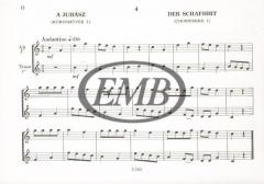 Recorder Music 2 (Zoltan Kodaly) 