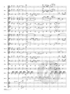 The Polar Express von Glen Ballard (Download) 