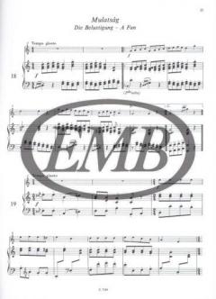 Hungarian Folksongs (Matyas Kovacs) 