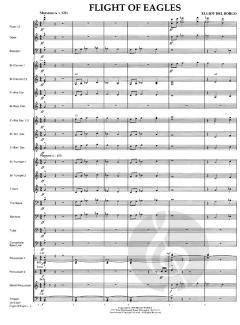 Flight Of Eagles von Elliot del Borgo 