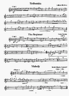 Solo Pieces For The Beginning Treble/Alto Recorder 