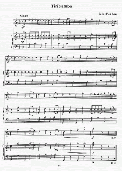 Solo Pieces For The Beginning Treble/Alto Recorder 