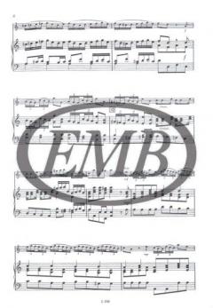 Concerto in la minore von Antonio Vivaldi 