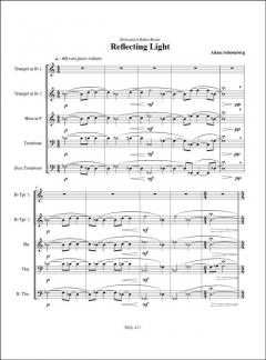 Reflecting Light (2006) von Adam Schoenberg 