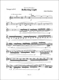 Reflecting Light (2006) von Adam Schoenberg 