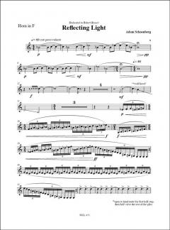 Reflecting Light (2006) von Adam Schoenberg 