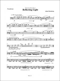 Reflecting Light (2006) von Adam Schoenberg 