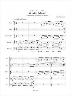 Winter Music von Adam Schoenberg 