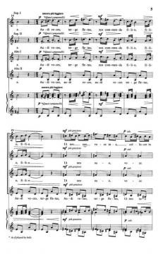 Audi Voces von György Orban 