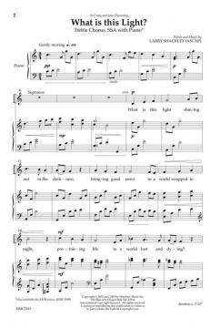 What Is This Light von Larry Shackley 