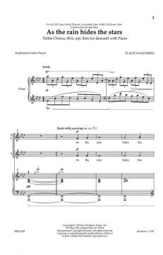 As The Rain Hides The Stars von Elaine Hagenberg 