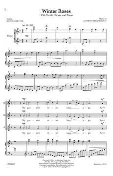 Winter Roses von Anthony Bernarducci 