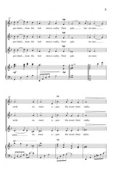 Winter Roses von Anthony Bernarducci 