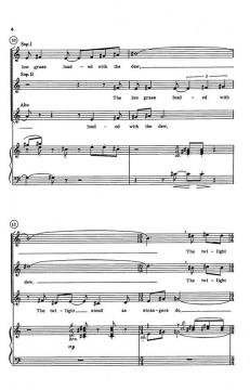 Night Songs von Tom Benjamin 