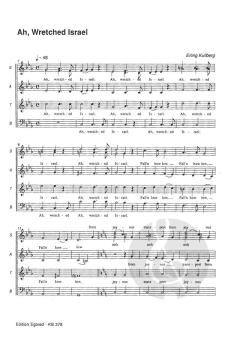 Eversmiling Liberty von Jens Johansen 