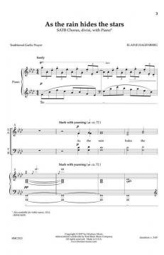 As the Rain Hides the Stars von Elaine Hagenberg 