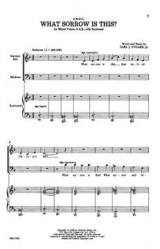 What Sorrow Is This? von Carl Nygard 