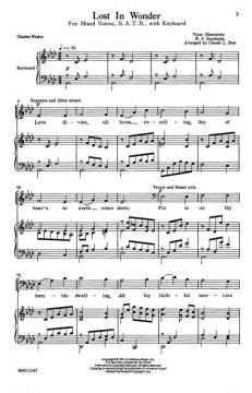 Lost In Wonder von William Rowlands 