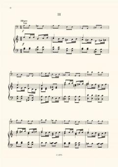 Concerto in la minore (Antonio Vivaldi) 