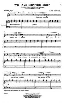 We Have Seen The Light von David Schwoebel 