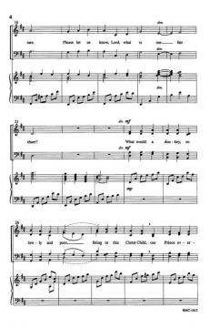 The Donkey's Gift von Robert H. McIverRobert H. McIver 