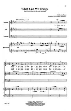 What Can We Bring? von Ronald A. Nelson 