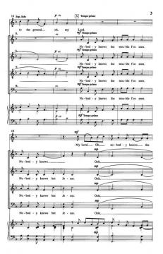 Nobody Knows The Trouble I've Seen von Rob Millet 