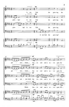 Is Not A Flower A Mystery? von Donald McCulloughDonald McCullough 