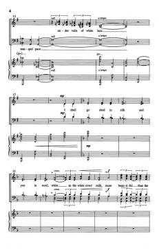 Velvet Shoes von Jan Sanborn 