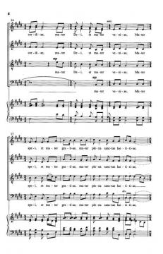 Salve Mater Misericordiae von Tim Sarsany 