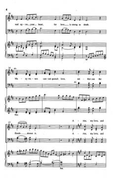 Set Me As A Seal von Robert J. Powell 