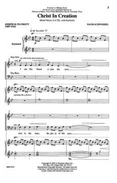 Christ In Creation von David Schwoebel 