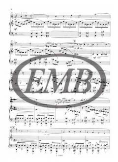 Concertino von Emil Petrovics 