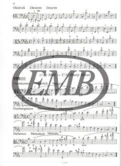 Everyday Exercises For Trombone von Ferenc Steiner 