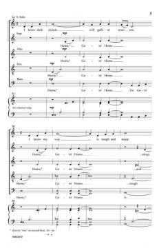 Wayfarin' Stranger von Craig Zamer 