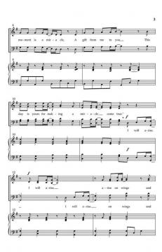 I Will Arise von Susan Naylor Callaway 