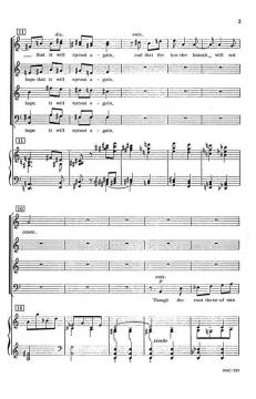 Song Of Hope von John Ness Beck 