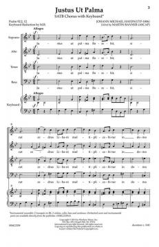 Justus Ut Palma von Martin Banner 