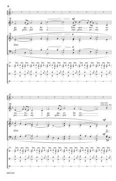 Cherokee Amazing Grace von James E. Green 