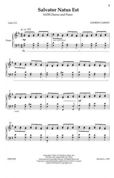 Salvator Natus Est von Andrew LarsonAndrew Larson 