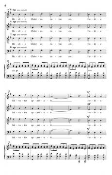 Salvator Natus Est von Andrew LarsonAndrew Larson 