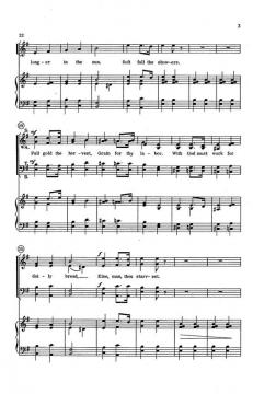 Green Grows The Holly von Steve ShepleySteve Shepley 