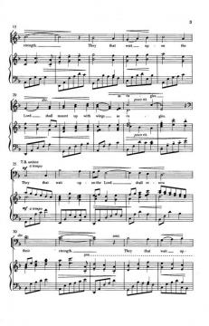 A Promise For Strength von David Schwoebel 