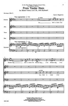 From Tender Stem von Carl Nygard 