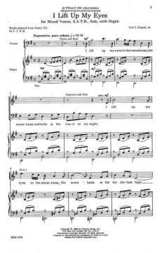 I Lift Up My Eyes von Carl Nygard 