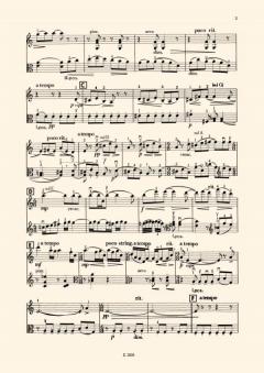 Duo for violin and viola von László Weiner 