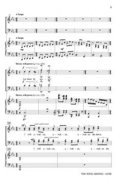 The Song Arising von Joseph M. Martin 