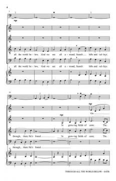 Through All The World Below von Howard Helvey 