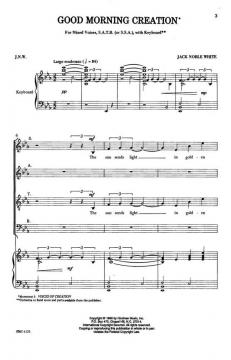 Good Morning Creation von Jack White 